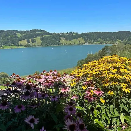 Sinz über'm Apartamento Immenstadt im Allgäu