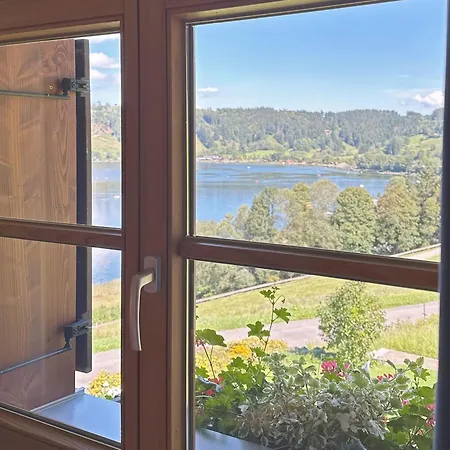 Apartamento Sinz über'm