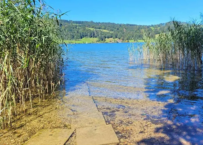 Sinz Ueber'm Immenstadt im Allgäu